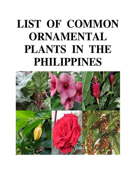 ornamental plants philippines list Pin on fotos by prasitt chanta