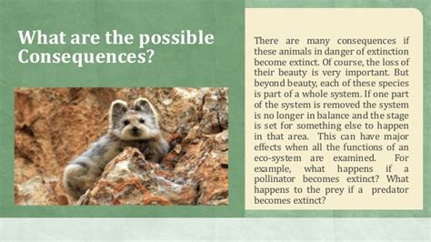 Species Extinction- Reasons and Effects?