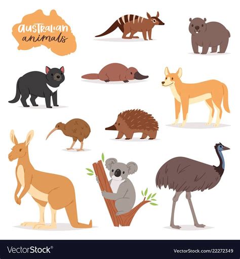 Australian animals animalistic character in Vector Image | Australian native animals, Australia ...