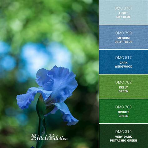 Blue Iris - Embroidery Color Palette (With Thread Codes)