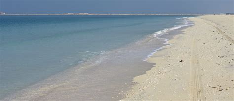 All About Jebel Ali Beach Dubai: Location, Activities & More - MyBayut