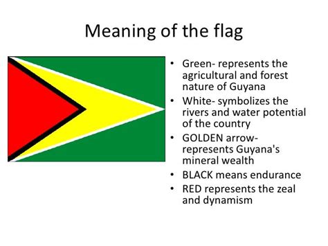 Image De Plage: Guyana Flag Crop Top