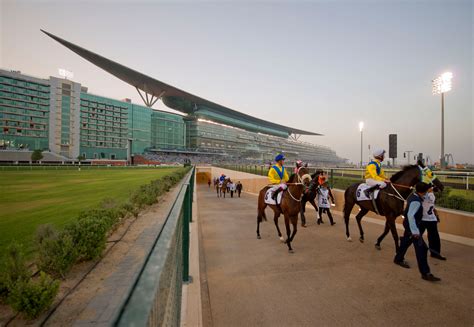 Meydan Stable Tours | Courses hippiques à Dubai | Visit Dubai