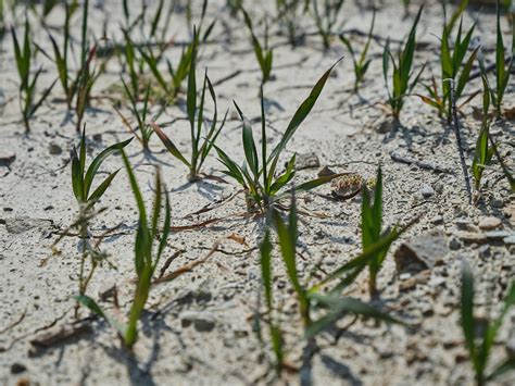 The Drought Reality: Its Impact on US Agriculture | by Stephen Price ...