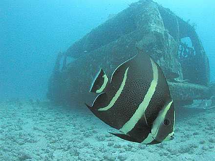 St. Kitts Snorkeling Excursion Tips