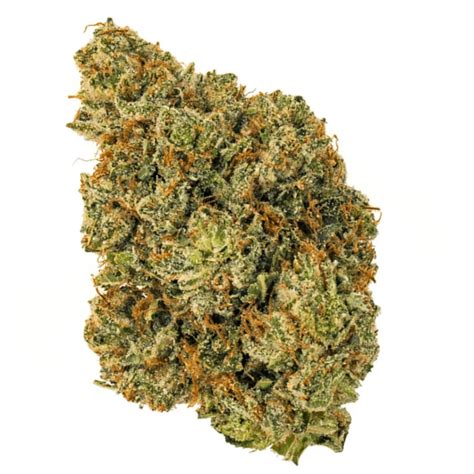 New Joker Strain Review from HDIGW