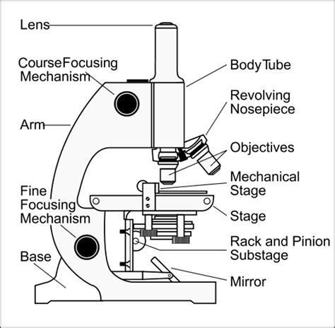 17 Simple Microscope Labeling Worksheet / worksheeto.com