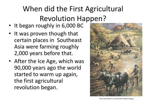 PPT - First Agricultural Revolution PowerPoint Presentation - ID:2873898