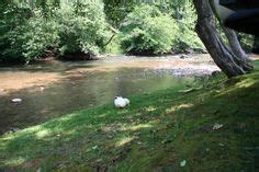 Camping at a campground about 3 miles from Lake Junaluska we were on ...