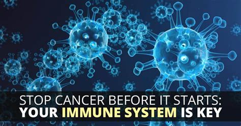 Surprising New Insight About the Role of the Immune System in Cancer