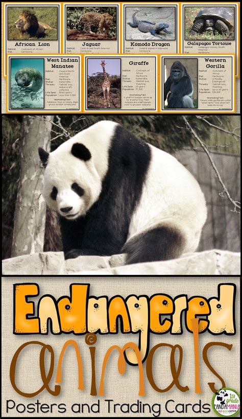 Animal Facts For Kids Endangered Animals - Image to u