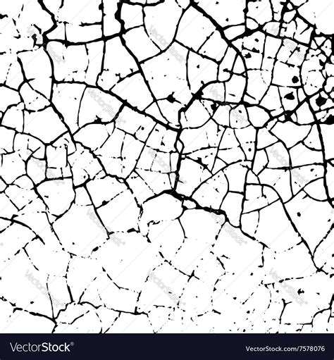 Cracked texture white and black Royalty Free Vector Image