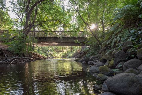 Five Minutes with a Chico State Tour Guide – Chico State Today