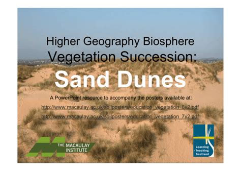 Dune Succession