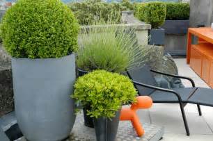 Contemporary Urban Rooftop Garden Design