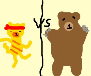 Ninja Cat vs Bear - Drawception