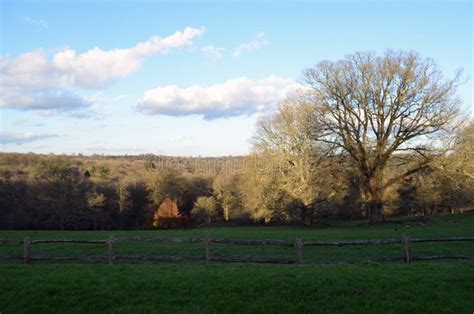 Sussex Countryside in Spring. Stock Photo - Image of trees, rolling ...