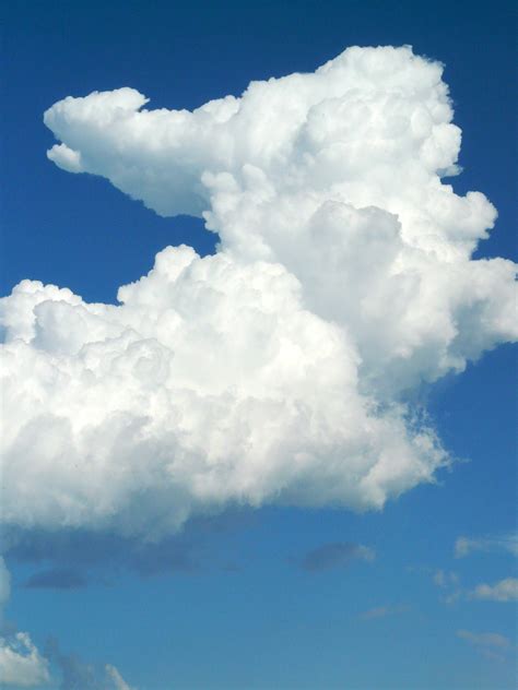 Free Images : cloud, sky, white, daytime, cumulus, blue, clouds form, meteorological phenomenon ...