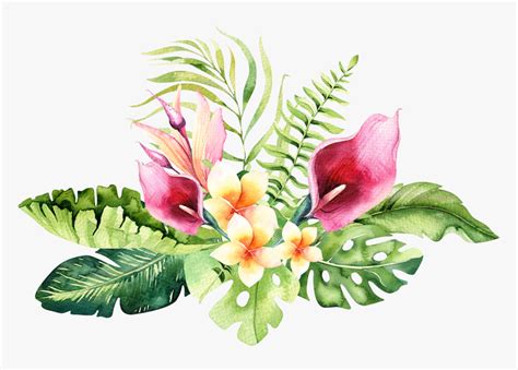 Hand Drawn Watercolor Tropical Flower , Png Download - Tropical Flowers Transparent Background ...