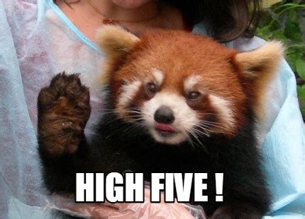 Meme Creator - Funny High Five ! Meme Generator at MemeCreator.org!