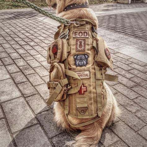 Dog Body Armor Pet USMC Vest Preserver Fashion Multi function Field Thermal Jacket Dog Tactical ...