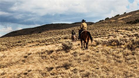 'Yellowstone' Renewed For Season 3 By Paramount Network, Josh Holloway ...