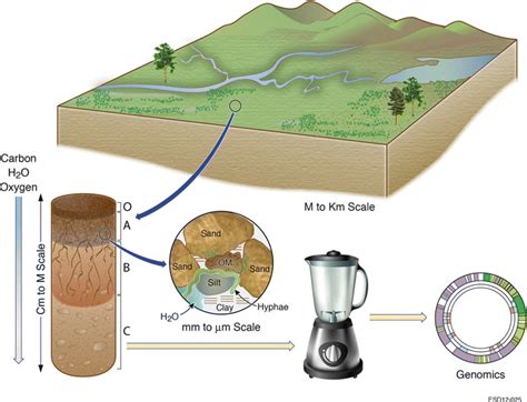 Soil Metagenomics | SpringerLink