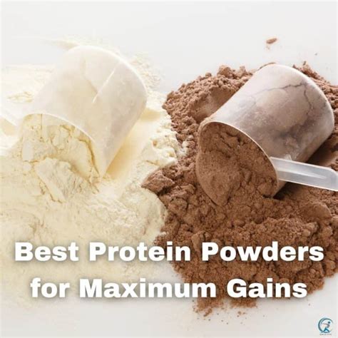 Uncovering the Best Protein Powders for Muscle Gain - Gear Up to Fit