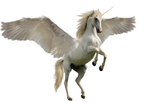 Winged Unicorn by Discoverie on DeviantArt