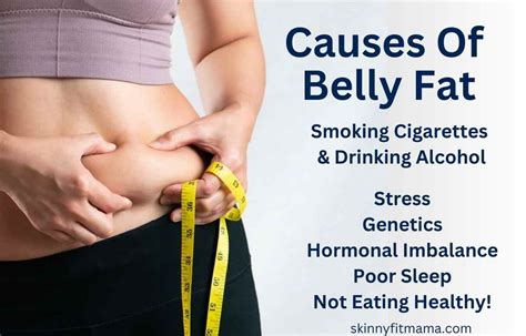 Top 13 Causes Of Belly Fat + Side Effects - Skinny Fit Mama