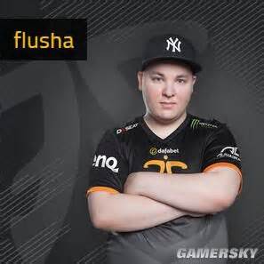 CSGO Fnatic成员flusha介绍 flusha游戏参数及cfg文件下载 _ 游民星空 GamerSky.com