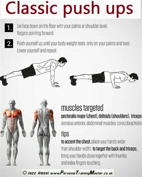 What Muscles Do Push Ups Work Out Diagram - Rectangle Circle