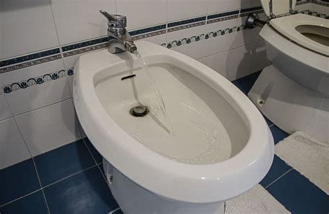 ¿Conviene o no usar bidet? Mitos y verdades detrás del "clásico ...