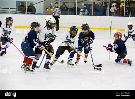 Children play ice hockey Stock Photo - Alamy