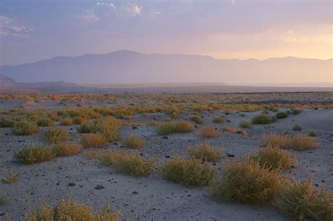 Eric Rosenwald Photography - Great Basin Desert, Near Pyramid Lake, Nevada....