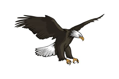 Eagle Illustration Graphic by graphicrun123 · Creative Fabrica