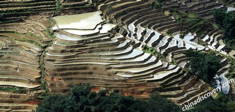 Bada Rice Terraces - Best Spot for Yuanyang Rice Terraces Sunset