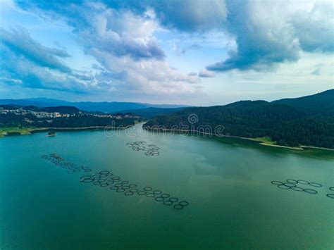 Breeding of Freshwater Fish in Lake with Round Nets. Rhodope Mountains ...