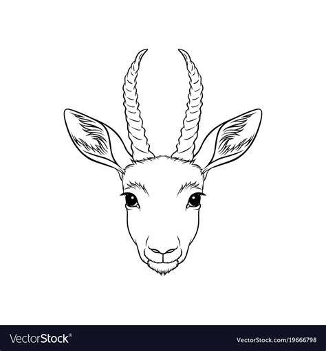 Sketch of antelopes head portrait of forest Vector Image