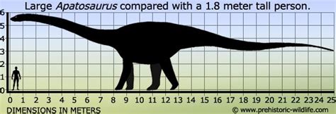 Apatosaurus | Prehistoric animals, Prehistoric, Prehistoric wildlife