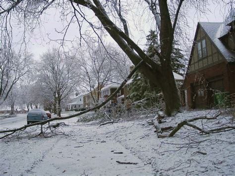 Winter Storm Damage on Pontiac SE | History Grand Rapids