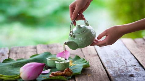 Buy Lotus Tea: Benefits, How to Make, Side Effects