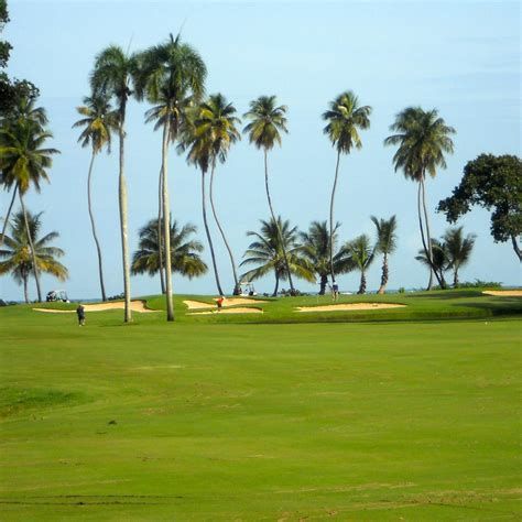 Dorado Beach Resort & Golf Club Pineapple Course, Dorado, PR - Golf course information and reviews.