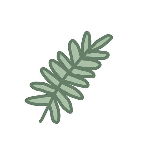 a green leaf on a white background