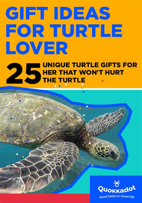 25 Unique Turtle Gifts For Her That Won't Hurt The Turtle - Quokkadot