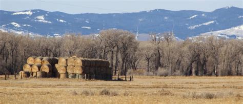 Historic Laramie Plains Ranch | Powers Land Brokerage