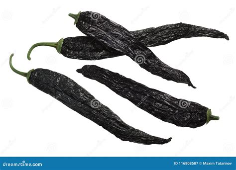 Dried Pasilla Bajio Chilaca Chile Peppers Stock Image - Image of isolated, annuum: 116808587