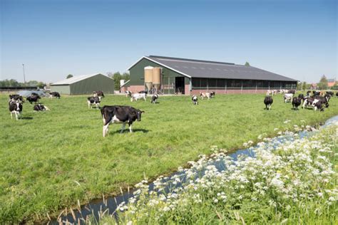 549 100+ Ferme Bâtiment Agricole Photos, taleaux et images libre de ...