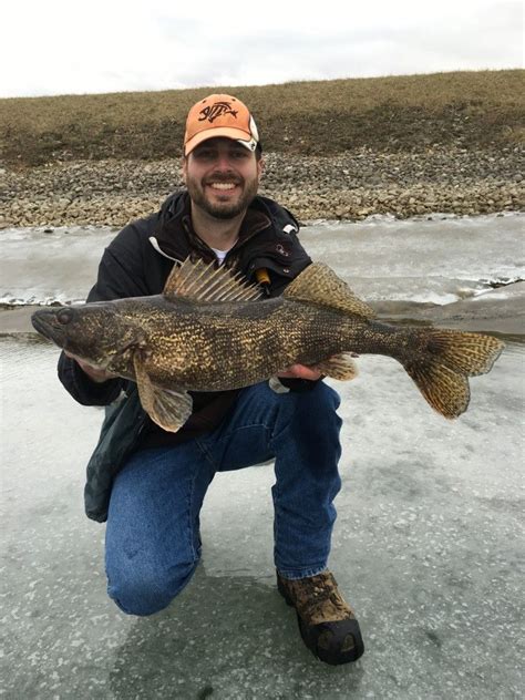 Ice Fisherman Catches Rare (And Huge) Saugeye! | Cool fish, Freshwater ...