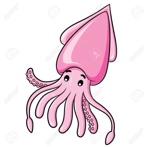 squid clip art 10 free Cliparts | Download images on Clipground 2024